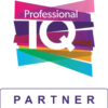 Piq Partner logo